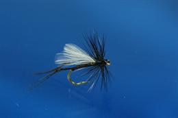 Hawthorne Hopper